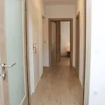 Larus * تْسافتات
