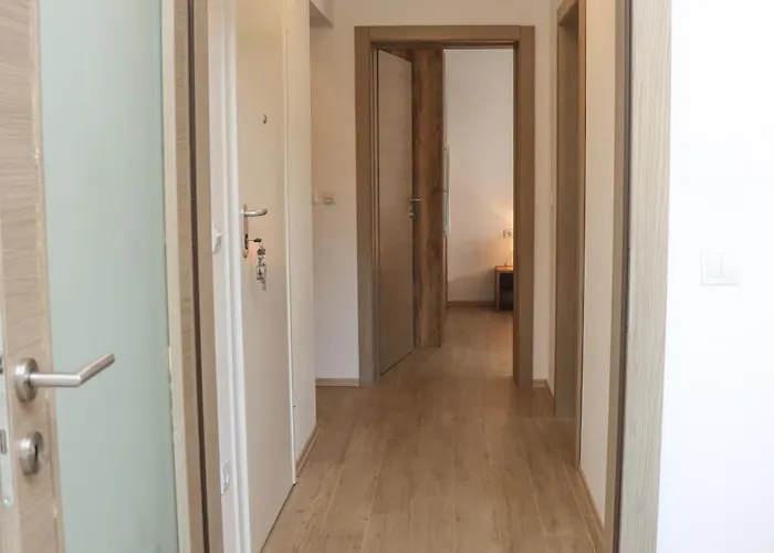 Larus * 챠브타트