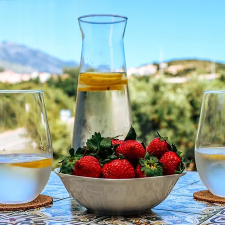 Larus Apartament Cavtat